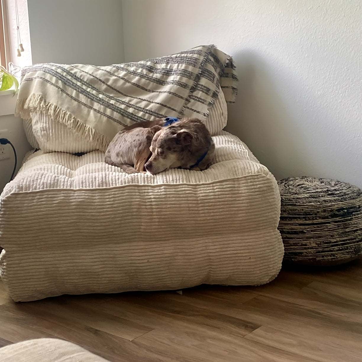 Sit or Lie Down Sofa, Boneless Multifunctional Single Sleeper Couch for Living Room, Bedroom & Office